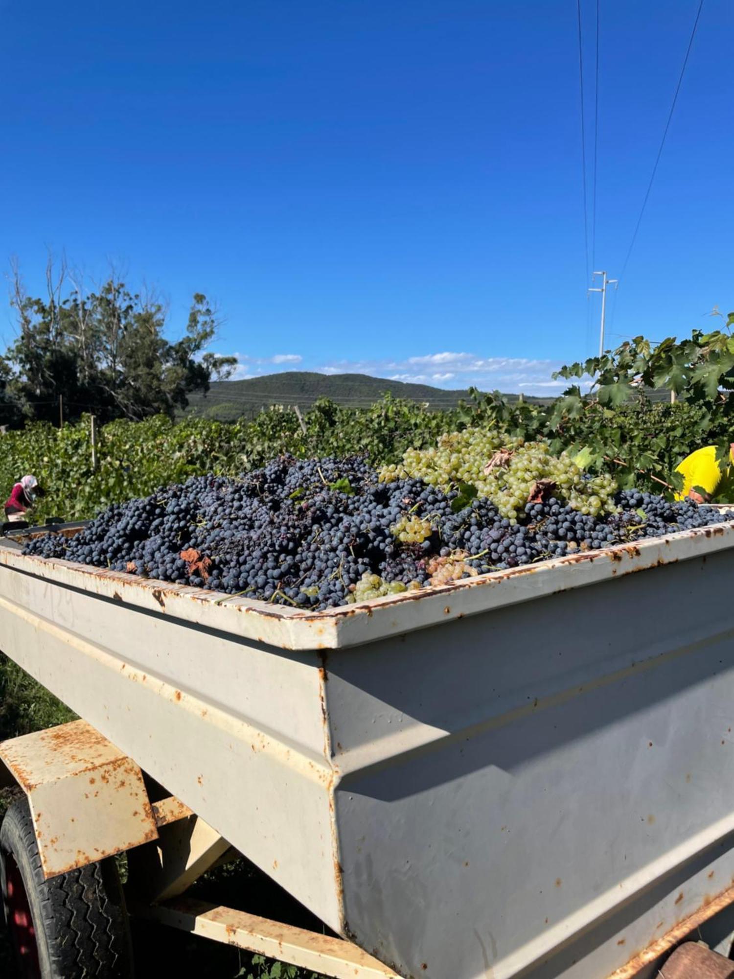 Agriturismo Podere Valdo Gavorrano Zewnętrze zdjęcie