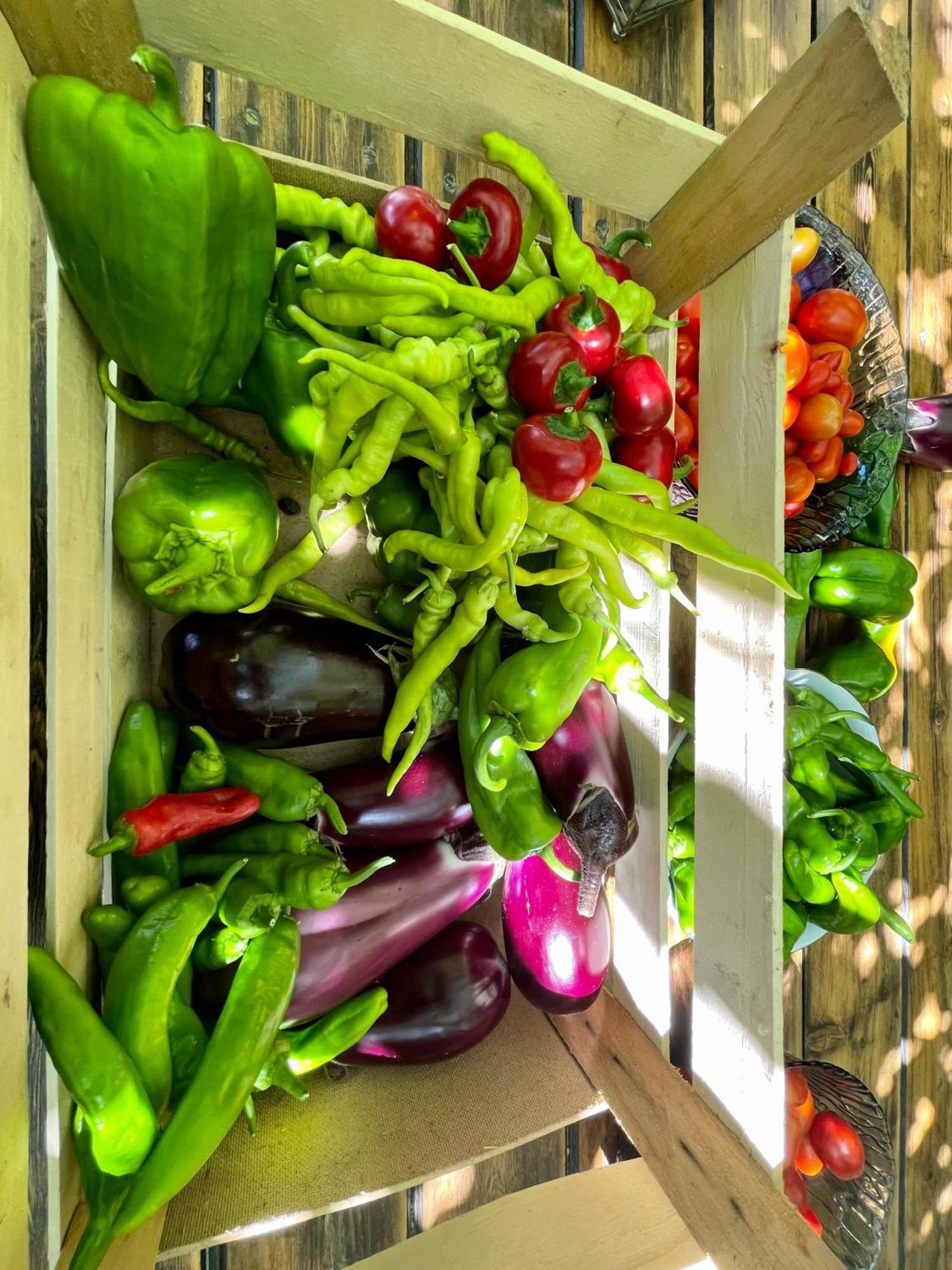 Agriturismo Podere Valdo Gavorrano Zewnętrze zdjęcie