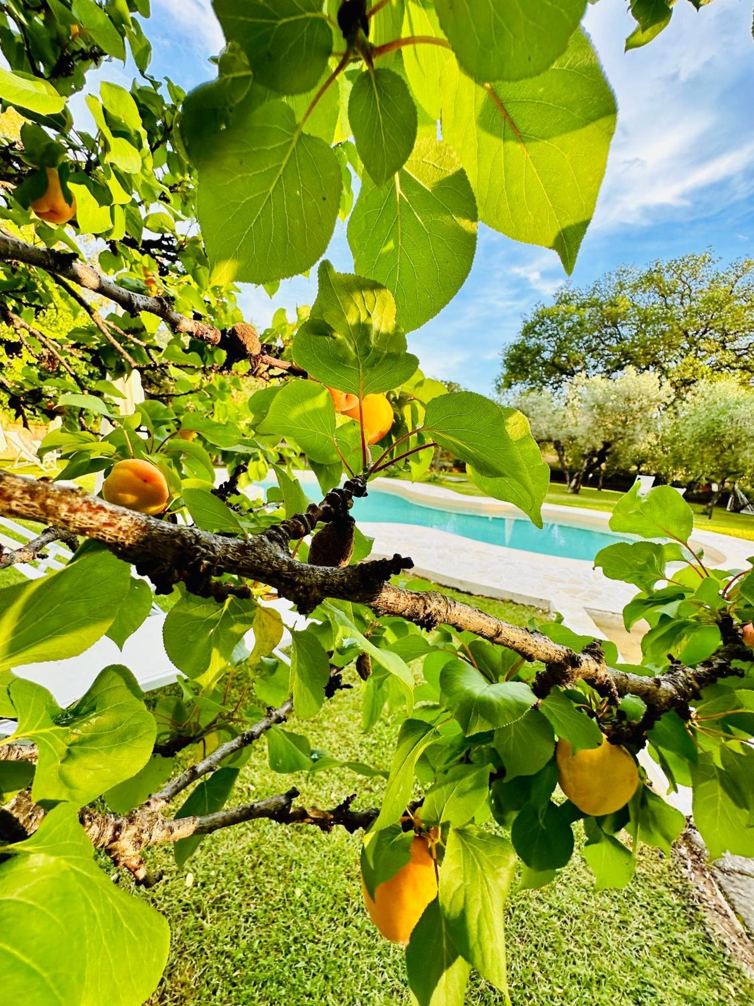 Agriturismo Podere Valdo Gavorrano Zewnętrze zdjęcie